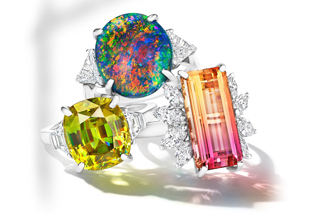 Trunk Show - Picchiotti